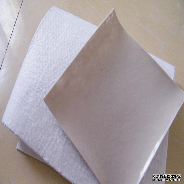 復合土工膜01.jpg